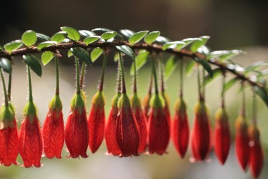 珠海香洲私人快速借钱网，轻松解决资金难题