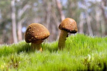 珠海香洲私人老板放款：轻松融资的秘密通道